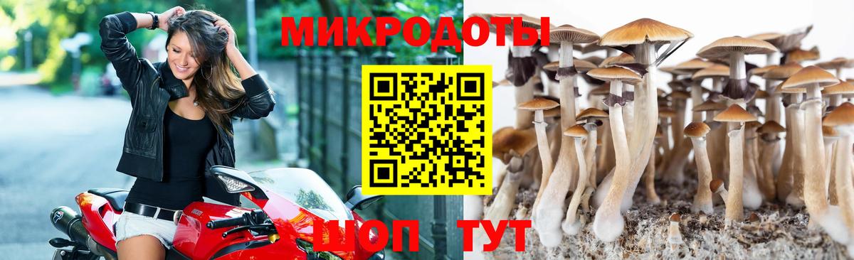 Галлюциногенные грибы GOLDEN TEACHER Химки
